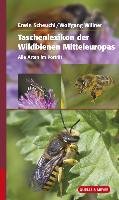 Taschenlexikon der Wildbienen Mitteleuropas Scheuchl Erwin, Willner Wolfgang