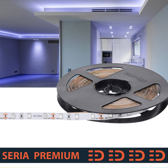 Taśma LED Premium 12V 60led niebieska SMD2835 (5m) Prescot