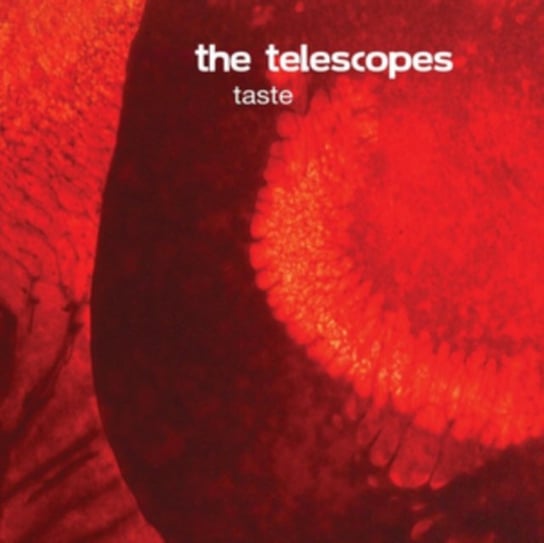 Taste, płyta winylowa The Telescopes