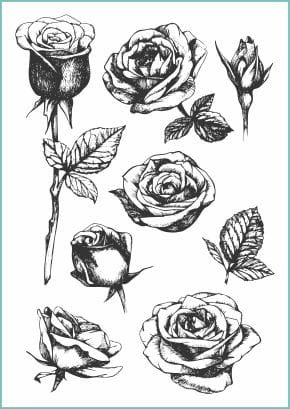 Tatuaże tymczasowe Czarne róże Fotobloki & Decor