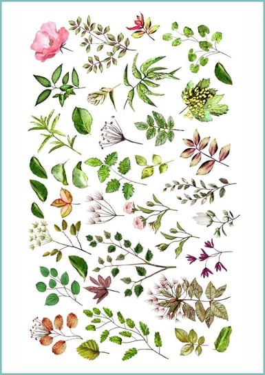 Tatuaże tymczasowe, zmywalne, dzikie i ogrodowe rośliny, format arkusz A4 Inna marka