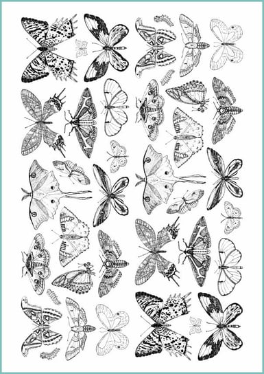 Tatuaże tymczasowe, zmywalne, motyle i dzikie ćmy, format arkusz A4 Inna marka