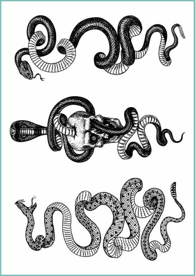 Tatuaże Tymczasowe Zmywalne, Wąż, Kobra I Żmija, Arkusz A4 Inna marka