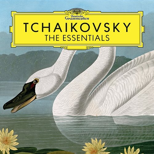Tchaikovsky: the Essentials Various Artists