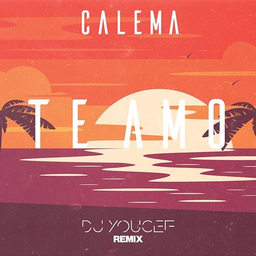 Te Amo Calema feat. DJ Youcef