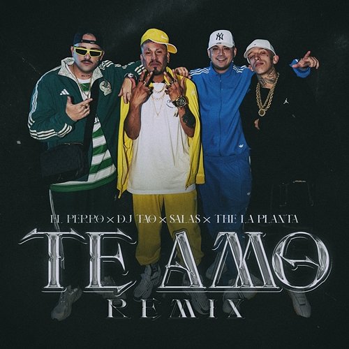 TE AMO RMX DJ Tao, El Perro, The La Planta feat. Salastkbron
