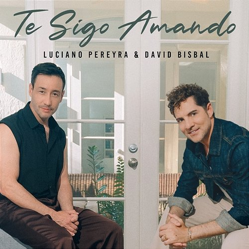 Te Sigo Amando Luciano Pereyra, David Bisbal