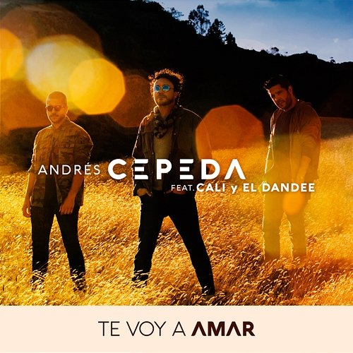 Te Voy a Amar Andres Cepeda & Cali Y El Dandee