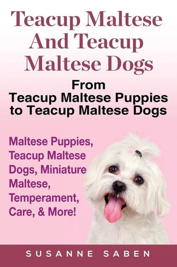Teacup Maltese And Teacup Maltese Dogs Saben Susanne