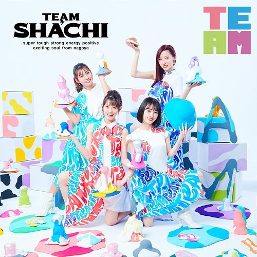 TEAM TEAM SHACHI