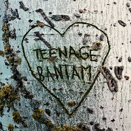 Teenage Bantam Sesentay6