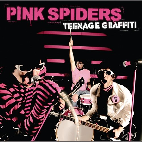 Teenage Graffitti The Pink Spiders