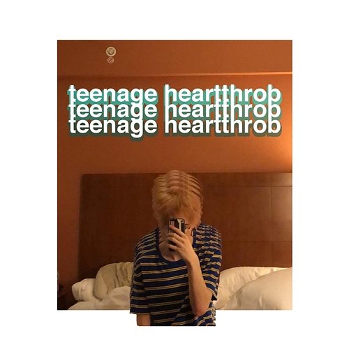 Teenage Heartthrob (Deluxe) RILEY THE MUSICIAN