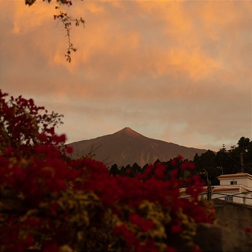 Teide Bastido