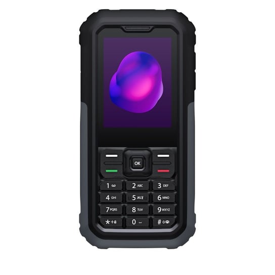 Telefon Tcl 3189 4G Dual Sim Szary TCL