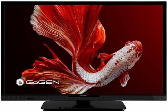 Telewizor GOGEN TVH24P452T, LED, 24", HD Ready, USB, HDMI Gogen