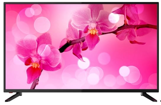 Telewizor SMARTTECH LE-43D11, LED, 43", Full HD, USB SmartTech