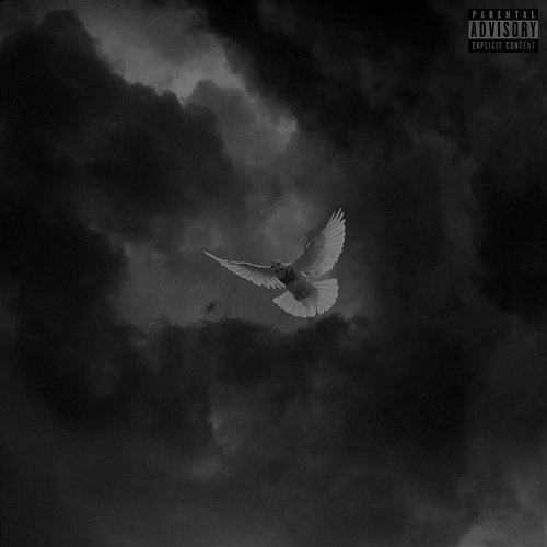 Tempête Yuston XIII