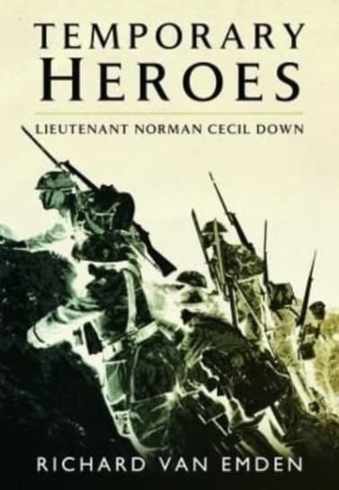 Temporary Heroes: Lieutenant Norman Cecil Down Pen & Sword Books Ltd