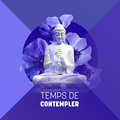 Temps de contempler: 40 Musique sélectionnée détaillée pour la relaxation et la méditation spirituelle, Moments apaisants Musique Thérapeutique Naturelles
