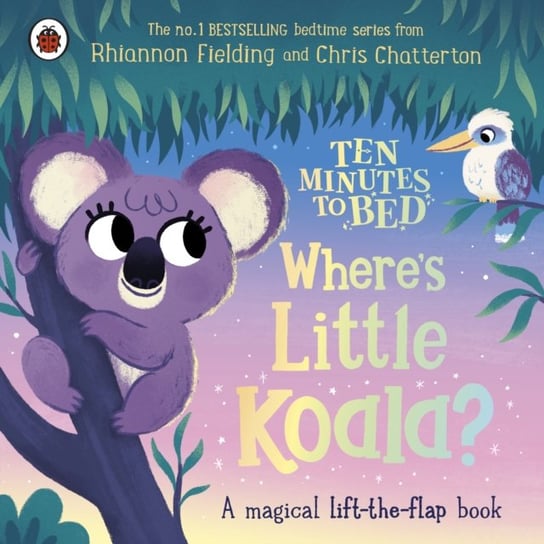 Ten Minutes to Bed: Where's Little Koala?: A magical lift-the-flap book Fielding Rhiannon