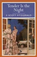 Tender is the Night Fitzgerald Scott F.