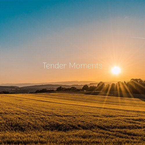 Tender Life Tender Moments