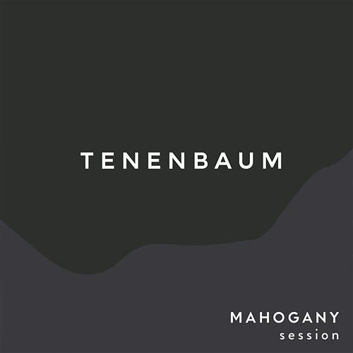 Tenenbaum The Paper Kites
