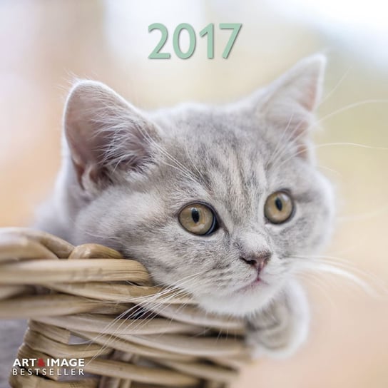 Teneues, kalendarz ścienny, 2017 Cats Teneues