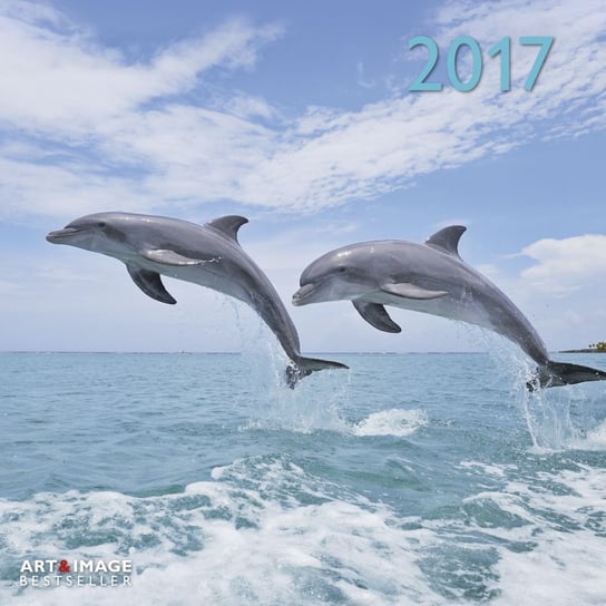 Teneues, kalendarz ścienny 2017, Dolphins Teneues