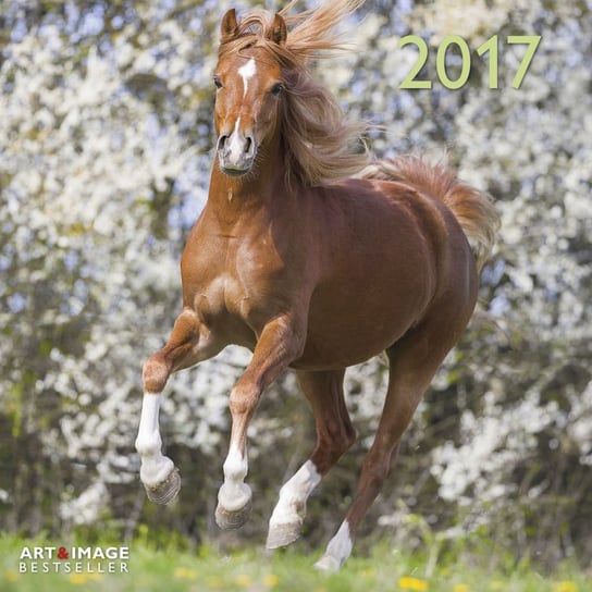 Teneues, kalendarz ścienny, 2017 Horses Teneues