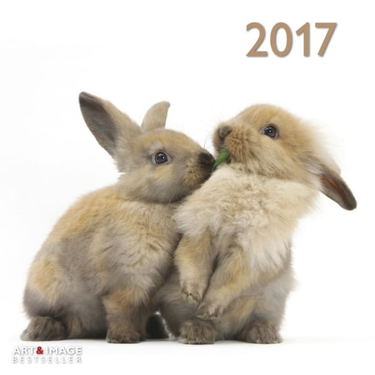 Teneues, kalendarz ścienny, 2017 Rabbits Teneues