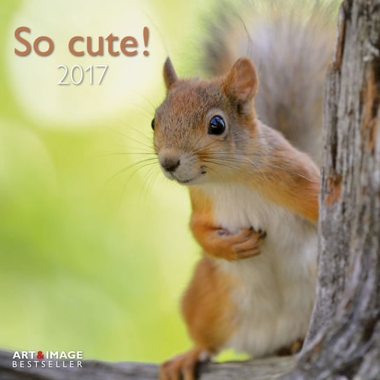 Teneues, kalendarz ścienny 2017, So cute! Teneues