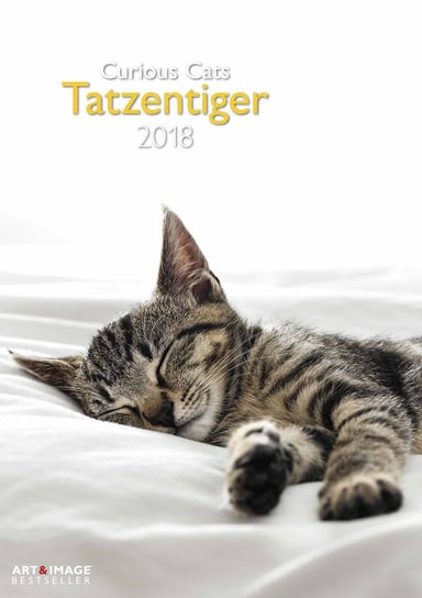 Teneues, kalendarz ścienny 2018, Curious Cats Teneues