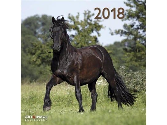 Teneues, kalendarz ścienny 2018, Horses Teneues