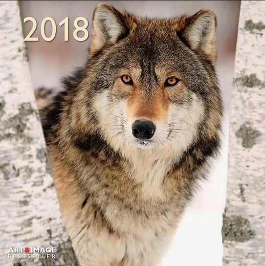 Teneues, kalendarz ścienny 2018, Wolves Teneues