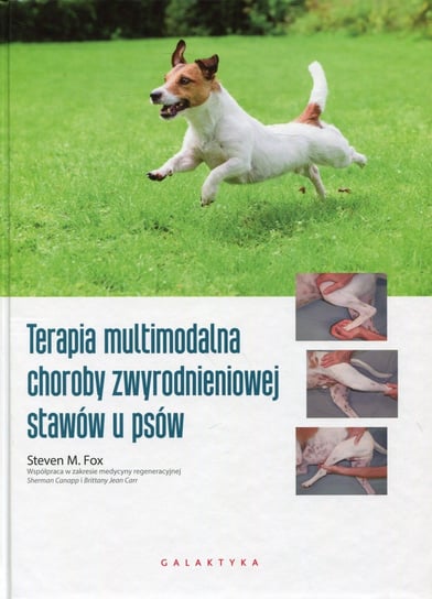 Terapia multimodalna choroby zwyrodnieniowej stawów u psów Fox Steven M.