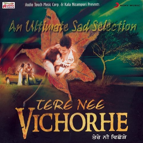 Tere Nee Vichorhe Various Artists