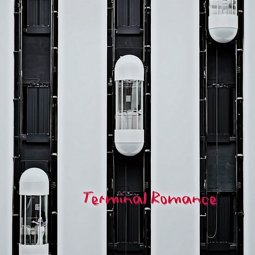 Terminal Romance Lori Birkland