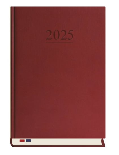 Terminarz 2025 Stacjonarny Dzienny Bordo A4 MICHALCZYK i PROKOP