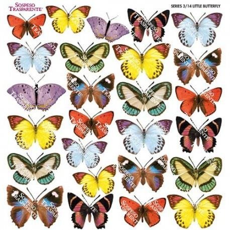 Termofolia do Sospeso - Little Butterfly Sospeso Monica Allegro