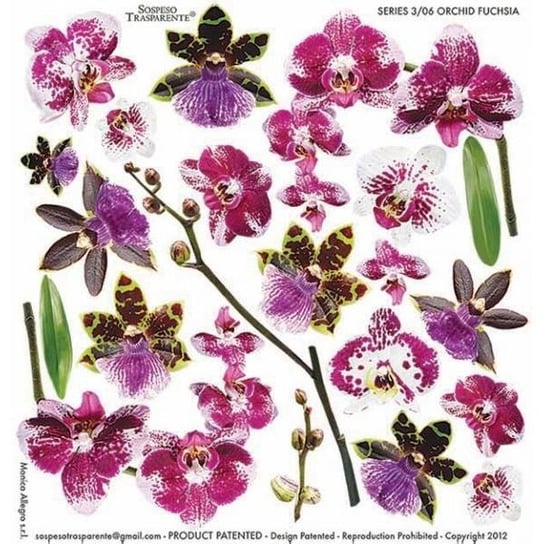 Termofolia do Sospeso - Orchid Fuchsia Sospeso Monica Allegro
