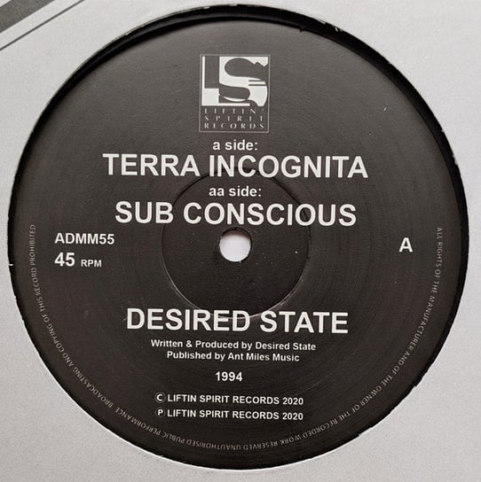 Terra Incognita / Sub Conscious, płyta winylowa Desired State