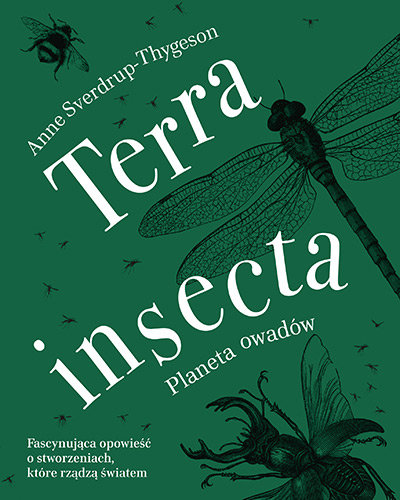 Terra insecta. Planeta owadów Sverdrup-Thygeson Anne
