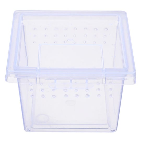 TERRARIO INSECT BOX MINI - PLASTIKOWE TERRARIUM 6,5X6,5X4,5CM TERRARIO