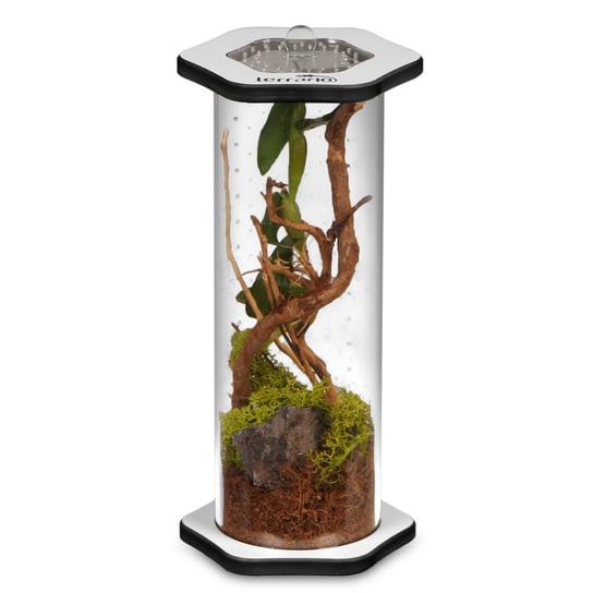 Terrario Spiders Tube Tall200 - Terrarium Akrylowe TERRARIO