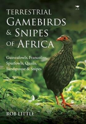 Terrestrial gamebirds & snipes of Africa Little Rob