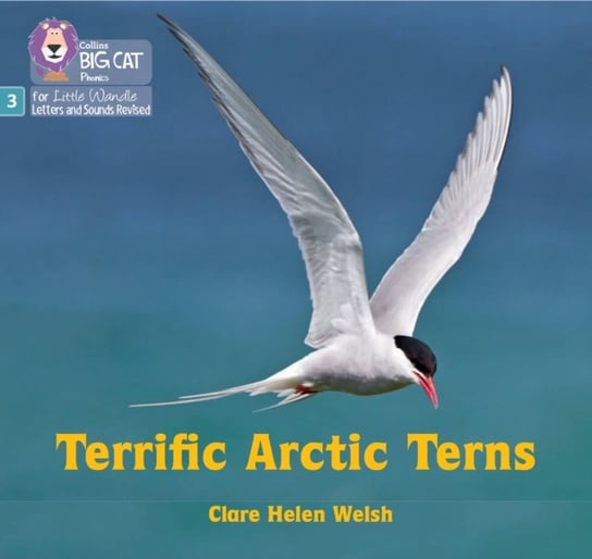 Terrific Arctic Terns: Phase 3 Set 2 Clare Helen Welsh