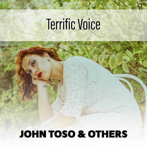 Terrific Voice John Toso & Others