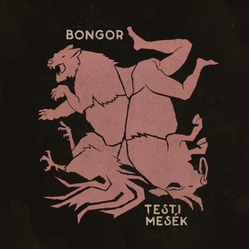 Testi Mesék bongor